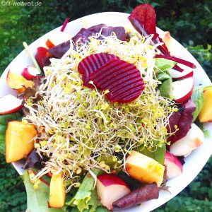 salat-rote-beete-bunt-gesund