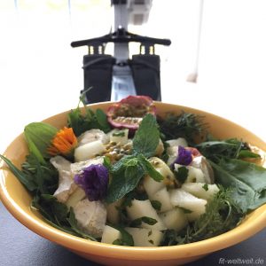 Protein Detox Salat mit Melone und Minze
