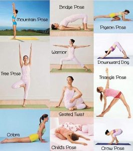Yoga für Anfänger Übungen