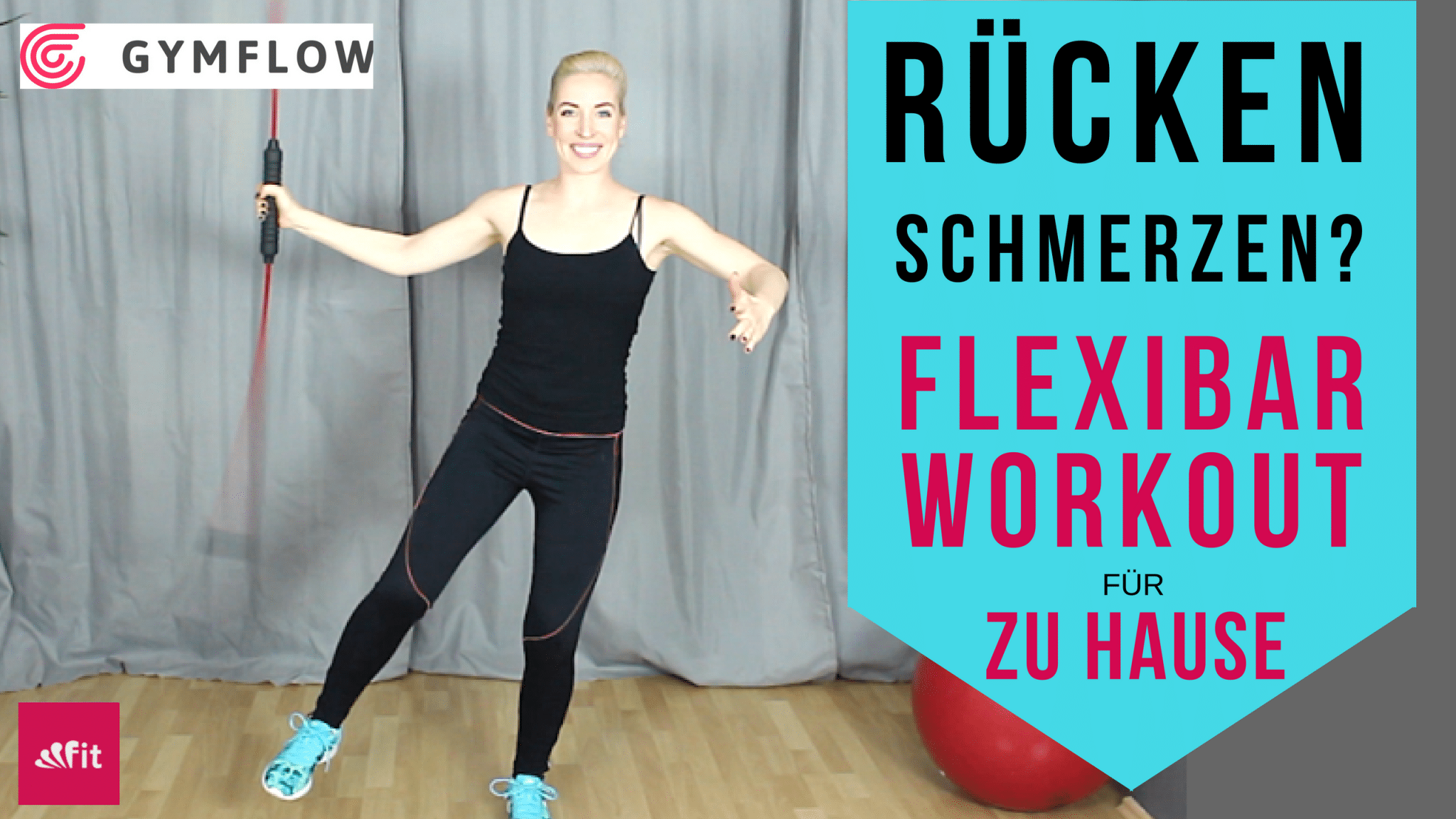 Flexi Bar Ubungen Und Wirkung Ruckenfit Mit Gymflow Video