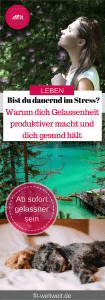 Warum dich Gelassenheit produktiver macht und gesund hält. Fühlst du dich häufig total im Stress und machst dich oft total verrückt. #Gelassenheit lernen und gelassen mit Stress umgehen. Mit der richtigen #Stressbewältigung kannst du mit Gelassenheit entgegenwirken. #stressfrei leben. Besonders, wenn du viel arbeitest. #Arbeit Hole dir Motivation und beginne deine Tage stressfreier mit einer positiven Einstellung. #stress #stressabbau #entspannt #entspannung