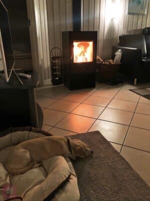 Hygge wohnen mit Kamin Kerzenschein schlafendem Hund und lesen wohnen Einrichtung