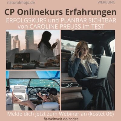 Onlinekurs Erfahrungen mit Caroline Preuss ERFOLGSKURS und PLANBAR SICHTBAR instagram strategie 2022