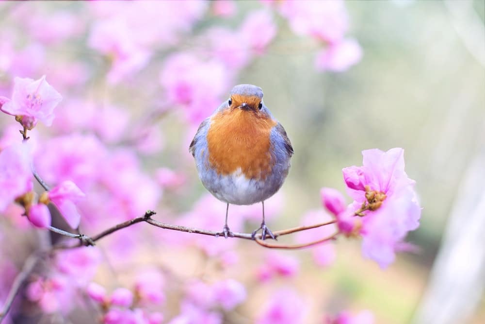Blog Frühling Blogposts Inspirationen Tipps