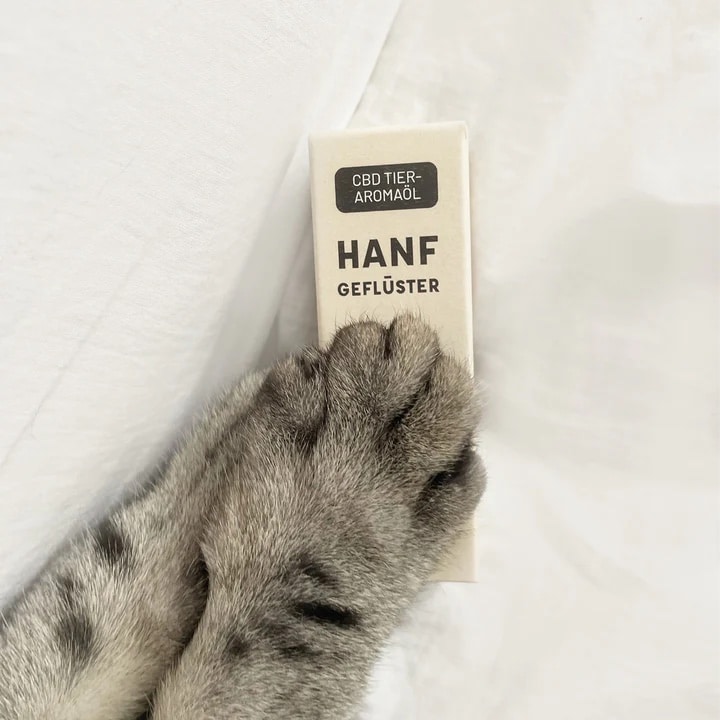 Anwendung Wirkung Hanfgeflüster Hunde Katzen CBD AROMA ÖL für Tiere meine Erfahrungen Anwendung Wirkung Hanfgeflüster Hunde Katzen CBD AROMA ÖL für Tiere meine Erfahrungen