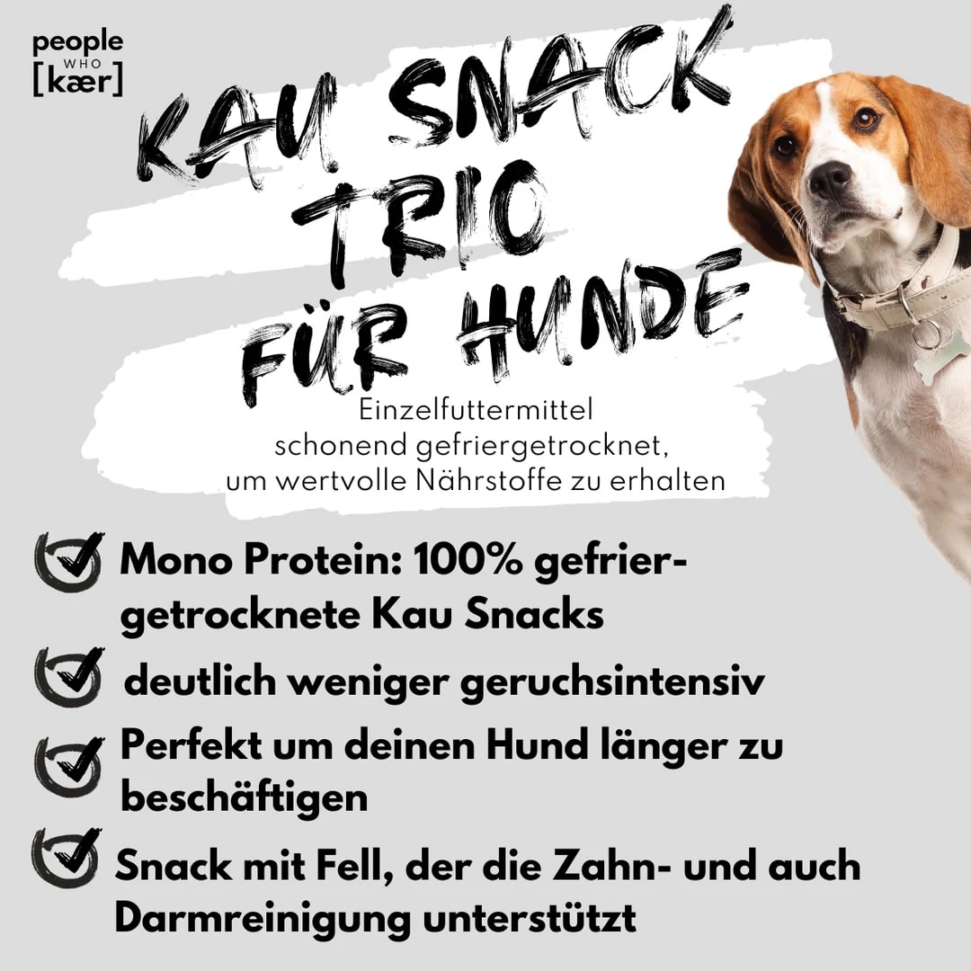 Kau Snacks für Hunde Zähne putzen Zahnreinigung Beschäftigung Kau Snacks für Hunde Zähne putzen Zahnreinigung Beschäftigung