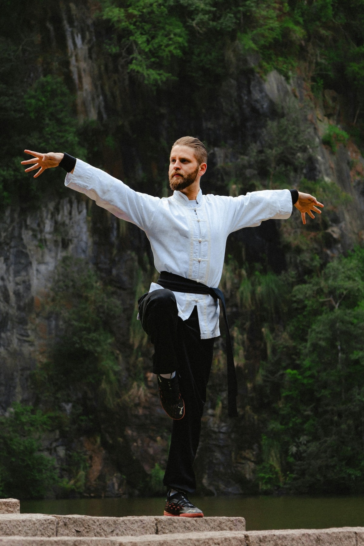 Tai Chi Chuan Yang Stil Formen Tai Chi Chuan Yang Stil Formen